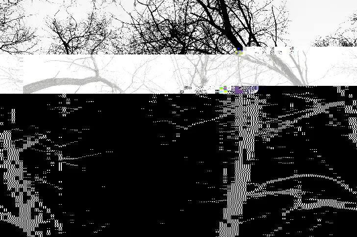 Beautiful Corruption: How Broken Pixels Became a Canvas